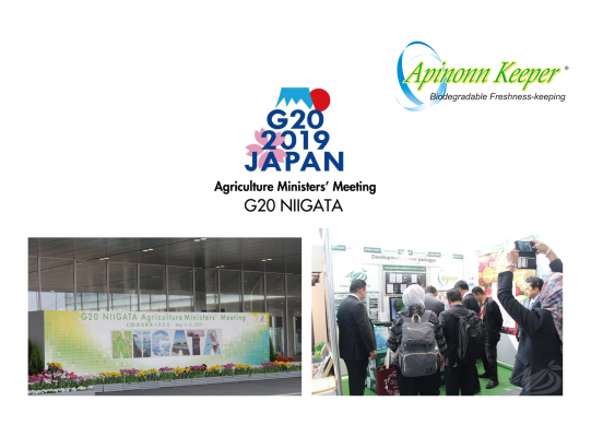 Biomass / Biodegradation / Freshness-keeping Packaging Series