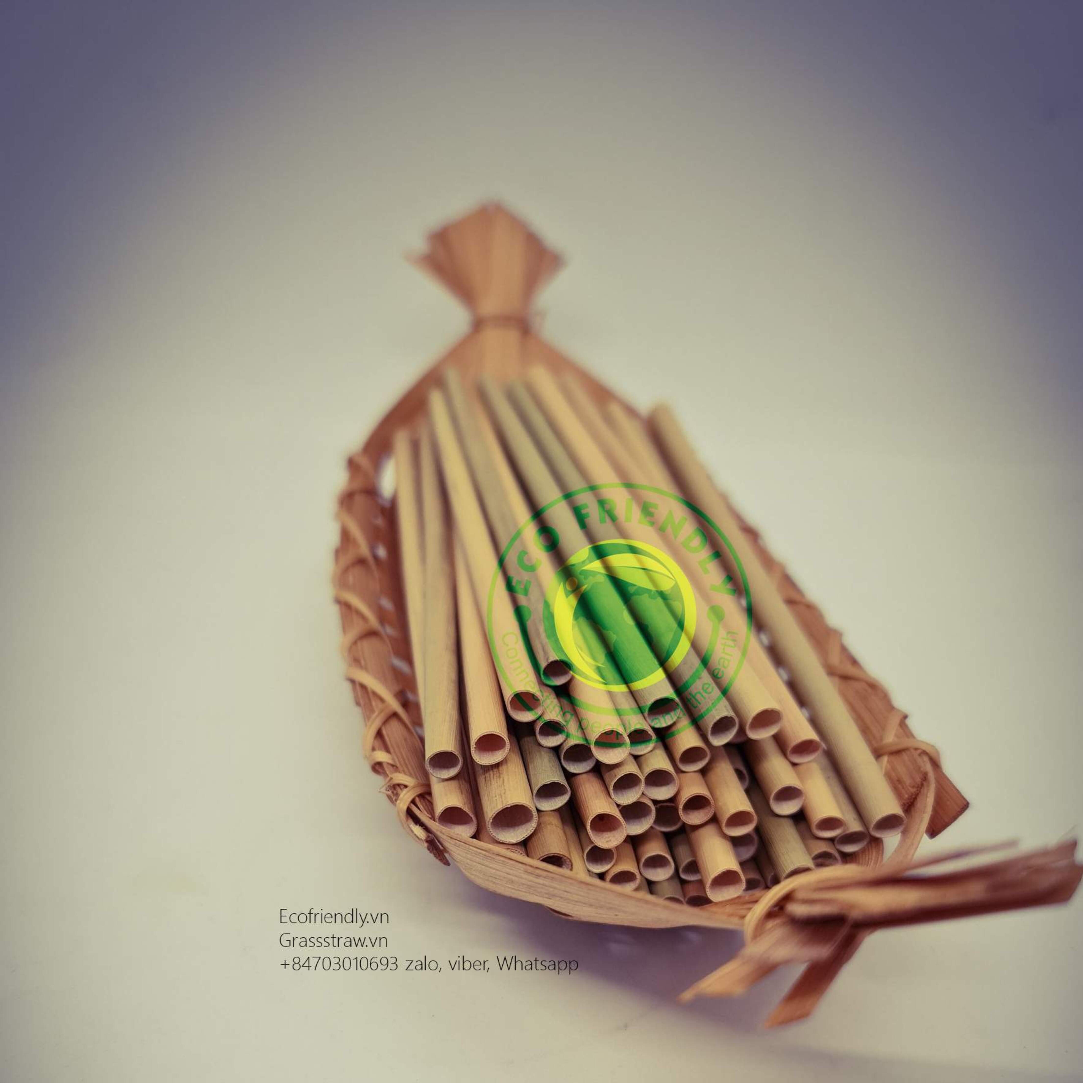 A “greener” solution to battle against plastic straws