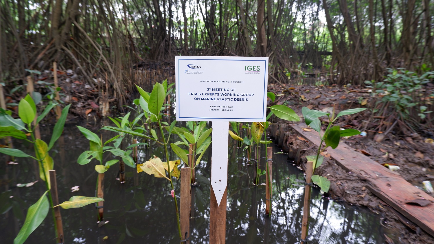 ERIA’s Experts Working Group donated 30 mangrove seeds