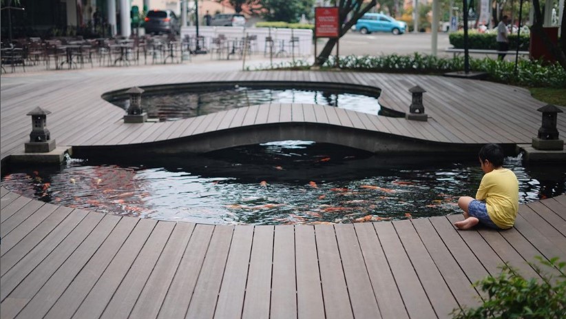 PlanaWood: Sustainable Wood Substitute from Indonesia