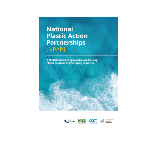 National Plastic Action Partnerships (NPAP): A Multistakeholder Approach to Addressing Plastic Pollution in Developing Countries